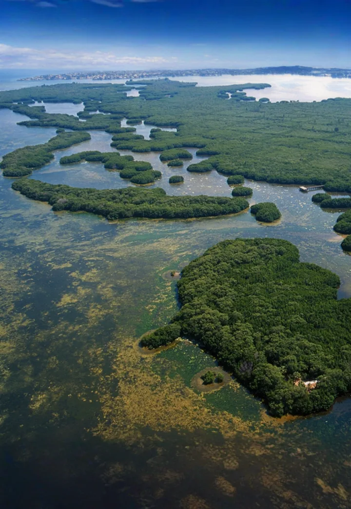 Weedon Island Preserve